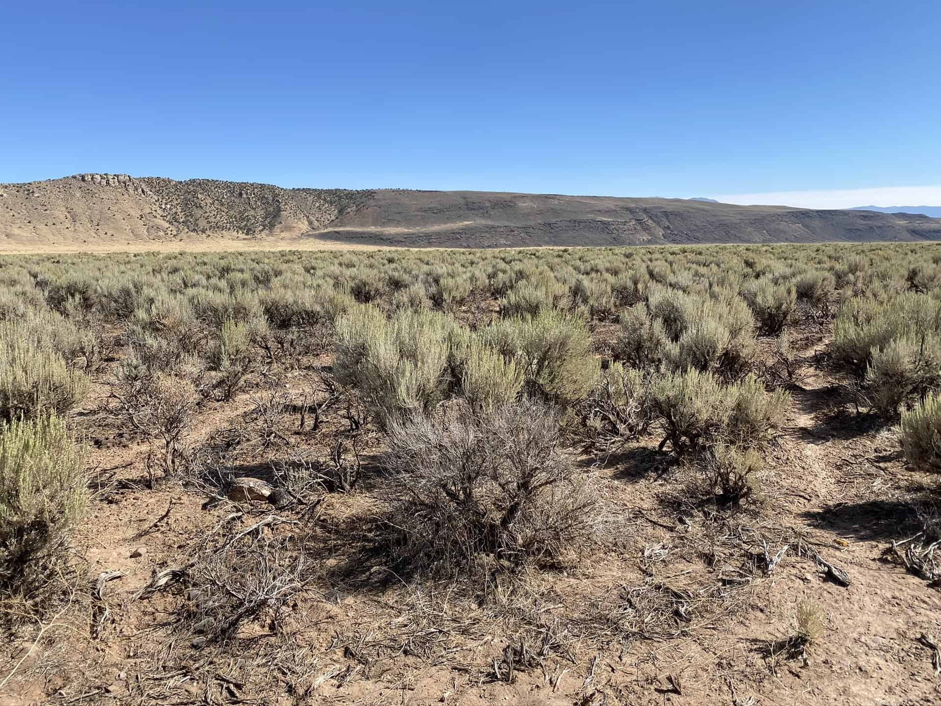 Cedar Valley (C-26876)